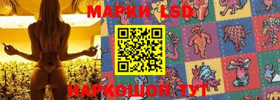 стафф Новодвинск
