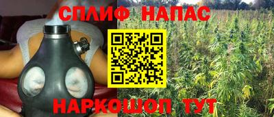 трава Новокубанск