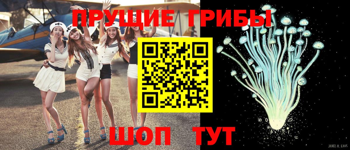Галлюциногенные грибы Magic Shrooms  Вход с VPN  Псилоцибиновые грибы Psilocybine cubensis  Чапаевск 