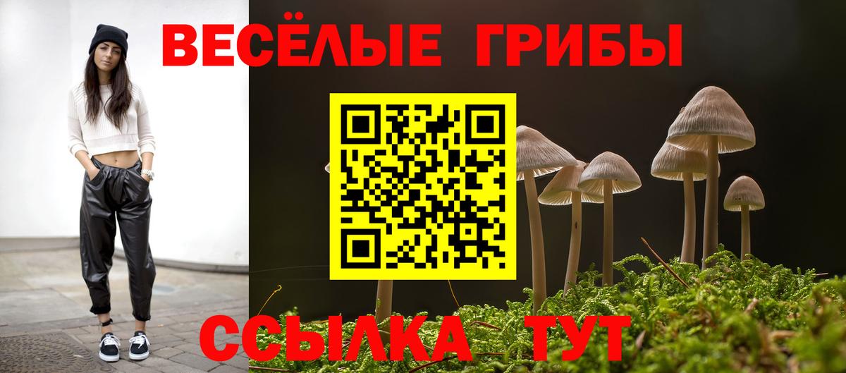 Псилоцибиновые грибы прущие грибы Чапаевск